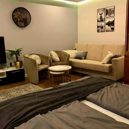 Apartament Podczerwone Czarny Dunajec Εξωτερικό φωτογραφία