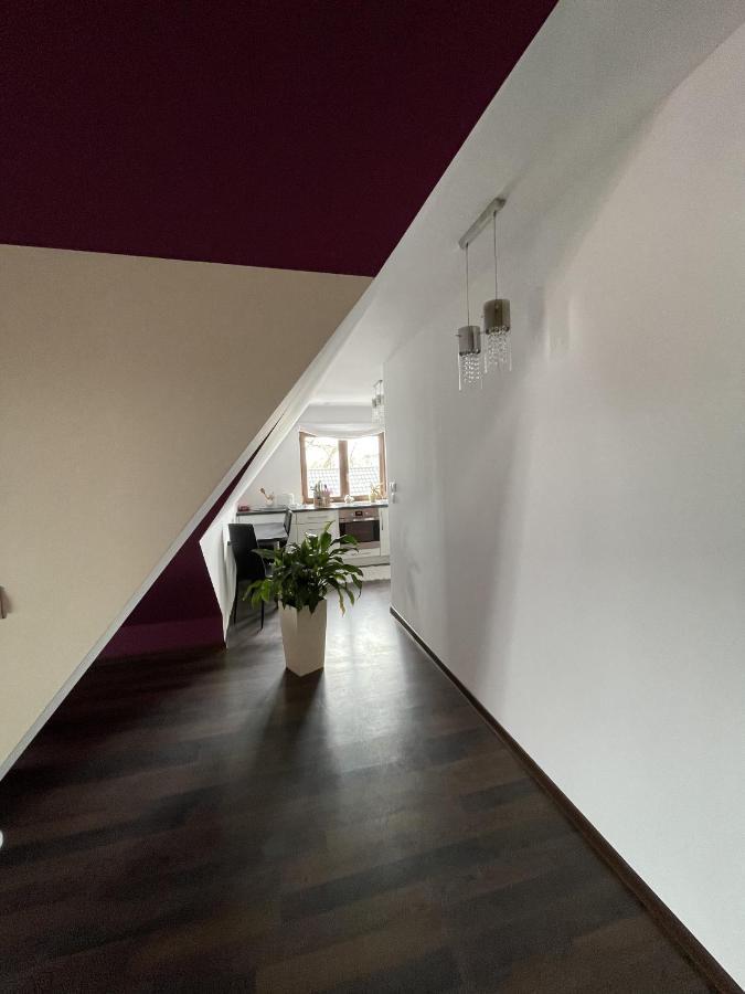 Apartament Podczerwone Czarny Dunajec Εξωτερικό φωτογραφία