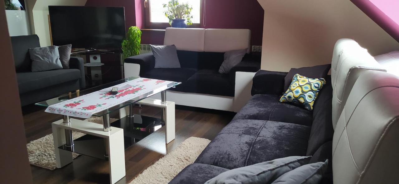 Apartament Podczerwone Czarny Dunajec Εξωτερικό φωτογραφία