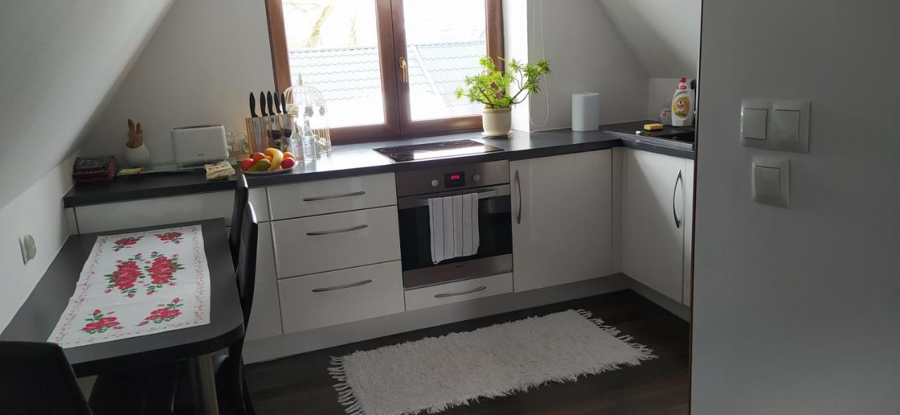 Apartament Podczerwone Czarny Dunajec Εξωτερικό φωτογραφία